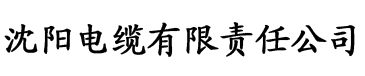 2022香蕉视频电缆厂logo